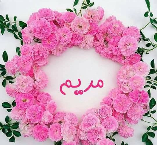 Pomen imena Maryam je okrašen z vrtnicami