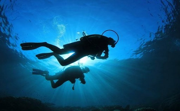 Drömmen om att dyka i havet qloob3 i detalj - en egyptisk webbplats