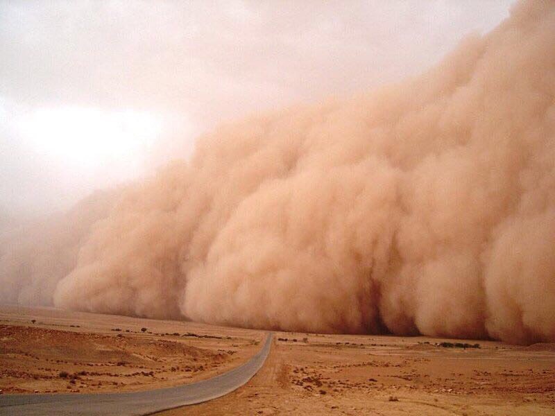 Сан о прашини и ветру - египатска веб страница