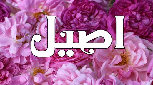 Koje je značenje imena Aseel Aseel u islamu i rječniku?