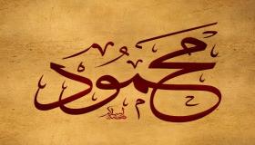 Ibn Sirini sõnul saate lisateavet nime Mahmoud tõlgendamise kohta üksiku naise jaoks unes