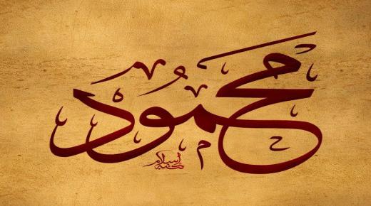 Saznajte više o tumačenju imena Mahmoud u snu za slobodnu ženu, prema Ibn Sirinu