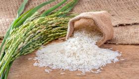 Ibn Sirino ir vyresniųjų teisininkų sapno apie ryžių valgymą sapne aiškinimas