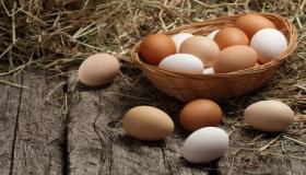 50 kõige olulisemat tõlgendust unes munade kogumise nägemisest