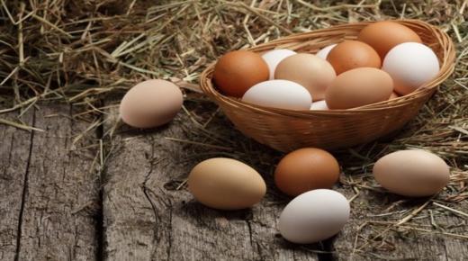 De 50 viktigste tolkningene av å se samle egg i en drøm