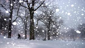 Sneeuw die in een droom valt door Ibn Sirin, de interpretatie van een droom over sneeuw die uit de lucht valt in een droom, en de interpretatie van een droom over vallende sneeuw en regen in een droom