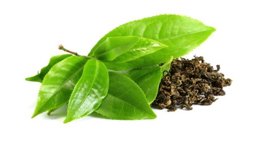 Vilka är fördelarna med att dricka grönt te på fastande mage?
