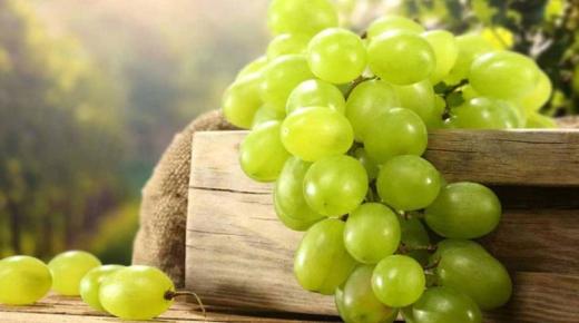 Roheliste viinamarjade söömine unenäos ja Ibn Sirini roheliste viinamarjade korjamise unenäo tõlgendus