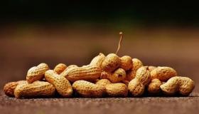 Hva er tolkningen av å spise peanøtter i en drøm for en enslig kvinne ifølge Ibn Sirin?