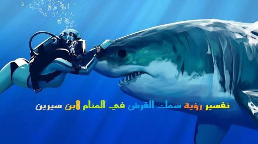 Tolkning av att se en haj i en dröm av Ibn Sirin