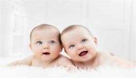 Какво је тумачење сна о близанцима за удату жену?
