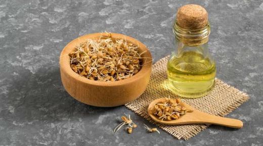 What are the benefits of wheat germ oil for the body?