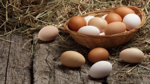 Lær om tolkningen av eggdrømmen til Ibn Sirin