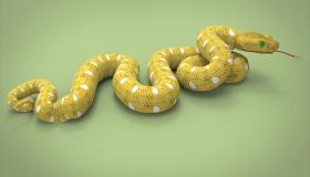 Kakvo je tumačenje sna o žutoj zmiji u snu prema pravnicima tumačenja?