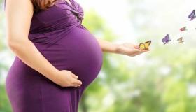 იბნ სირინის მიერ მარტოხელა ქალებისთვის ორსულობის შესახებ ოცნების ყველაზე მნიშვნელოვანი 20 ინტერპრეტაცია
