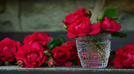 Vad är tolkningen av en dröm om rosor för en kvinna som är gift med Ibn Sirin?