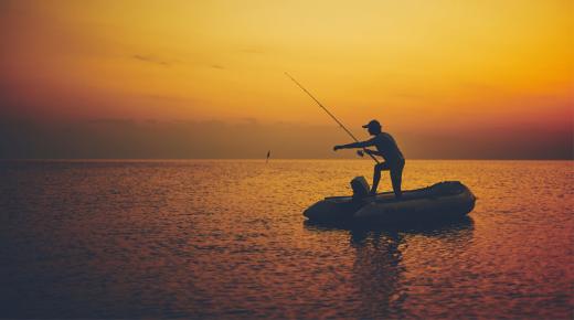 Tolkning av en dröm om att fånga fisk i en dröm av Ibn Sirin