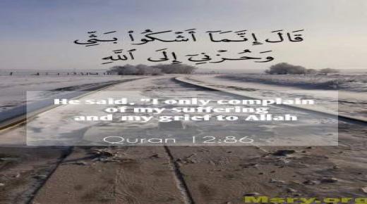Најубавите молби избрани од Куранот и најгледани на YouTube