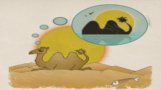 Толкување на гледање како јава камила во сон од Ибн Сирин и Ал-Набулси