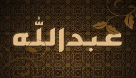 Opi Abdullah-nimen tulkinnasta unessa naimattomalle naiselle Ibn Sirinin mukaan