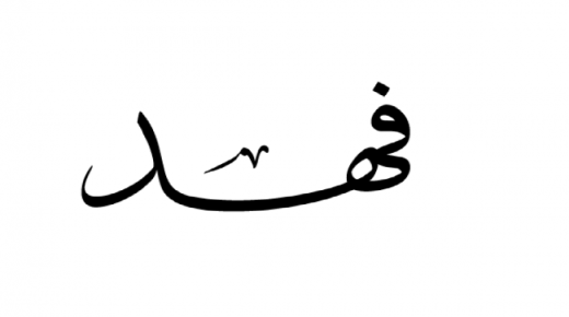 Die betekenis van die naam Fahd in 'n droom
