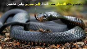 Tolkning av drömmen om ormen och tolkningen av att se ormen i en dröm och döda den av Ibn Sirin och Al-Nabulsi