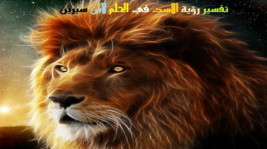 Тумачење виђења лава у сну од Ибн Сирина