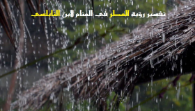 Тумачење виђења кише у сну од Ибн Сирина и Ал-Набулсија