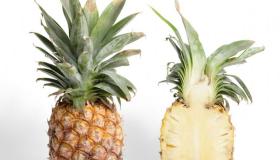 Quae est interpretatio videndi pineapple in somnio ab Ibn Sirin?
