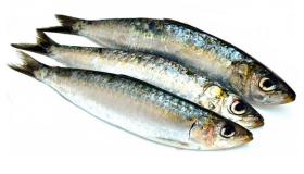 Sardines ໃນຄວາມຝັນໂດຍ Ibn Sirin ແລະການຕີຄວາມຫມາຍຂອງຄວາມຝັນກ່ຽວກັບການກິນ sardines ໃນຄວາມຝັນແລະການຊື້ sardines ໃນຄວາມຝັນ