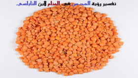 Ibn Sirin と Al-Nabulsi による夢の中でレンズ豆を見る解釈