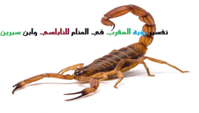 Razlaga videnja škorpijona v sanjah Ibn Sirina in Al-Nabulsija