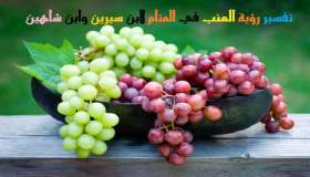 Interpretasie om druiwe in 'n droom te sien deur Ibn Sirin en Ibn Shaheen