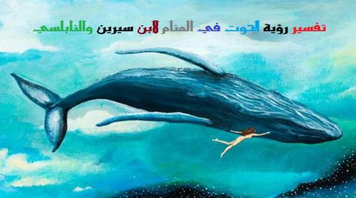 Ibn Sirin နှင့် Al-Nabulsi တို့က အိပ်မက်ထဲတွင် ဝေလငါးတစ်ကောင်ကိုတွေ့ခြင်း၏ အဓိပ္ပာယ်ဖွင့်ဆိုချက်