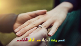 Ibn Sirin နှင့် Al-Nabulsi တို့က အိပ်မက်ထဲတွင် လက်စွပ်တစ်ကွင်းတွေ့ခြင်း၏ စကားပြန်
