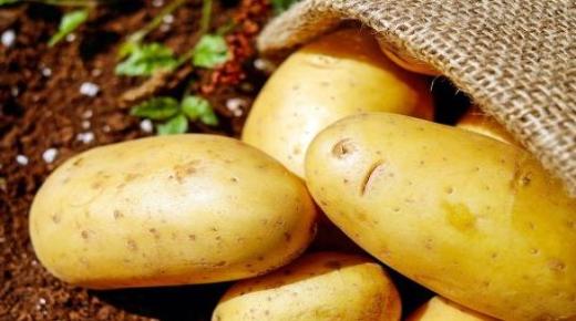 Түсіндегі картопты түсіндіру, түсіндегі жаңа піскен картопты және түсінде пісірілген картопты түсіндіру туралы біліңіз.