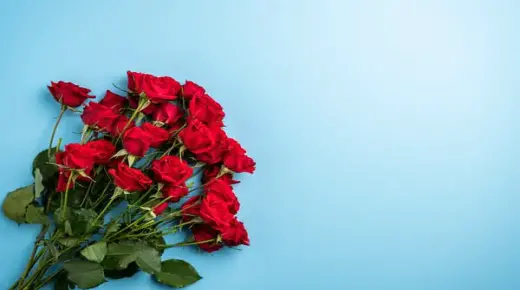 Дознајте за толкувањето на сонот за црвени рози според Ибн Сирин