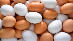 ابن سیرین کے خواب میں بہت سے انڈوں اور سڑے ہوئے انڈوں کے بارے میں خواب کی تعبیر