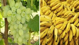 Lær om tolkningen av en drøm om bananer og druer av Ibn Sirin