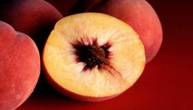 Tolkning av att se persikor i en dröm av Imam al-Sadiq