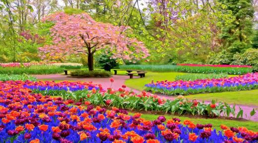 Tema som uttrycker våren och naturens skönhet