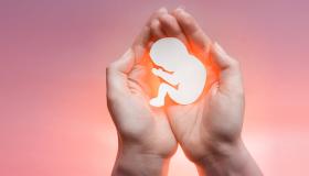Vad är tolkningen av en dröm om att abortera ett foster för en icke-gravid son till Sirin?