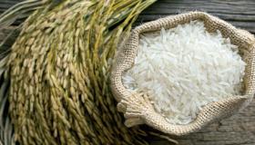 تفسير ظهور الأرز في المنام للمتزوجة وأكل الأرز في المنام للمتزوجة والأرز المطبوخ في المنام للمتزوجة