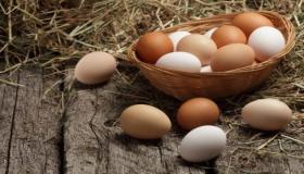 Sužinokite, kaip interpretuoti Ibn Sirino svajonę apie kiaušinių rinkimą