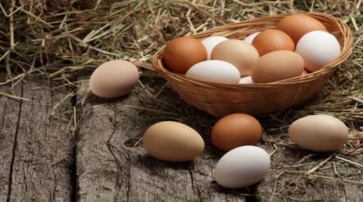 למד את הפירוש של חלומו של אבן סירין על איסוף ביצים