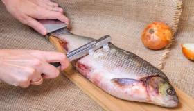 Kuidas tõlgendatakse unenägu kalade puhastamisest?