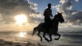Lær om tolkningen av Ibn Sirins drøm om å ri på hest