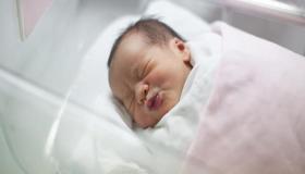 تفسير حلم الحمل والولادة لابن سيرين