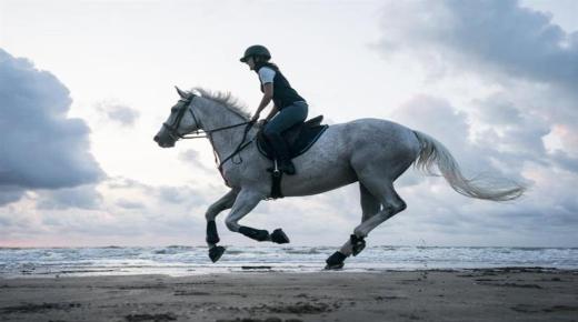 ما هو تفسير حلم ركوب الحصان لابن سيرين؟