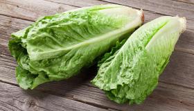 Tumačenje snova jedenje zelene salate u snu od Ibn Sirina, tumačenje snova jedenje zelene salate i tumačenje snova jedenje zelene salate za umrle.
